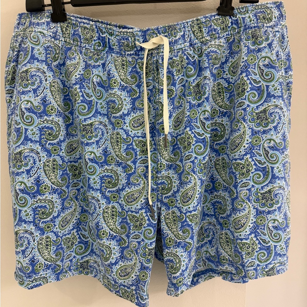Fair Harbor Blue and Green Paisley Bungalow Liner Swim Trunks